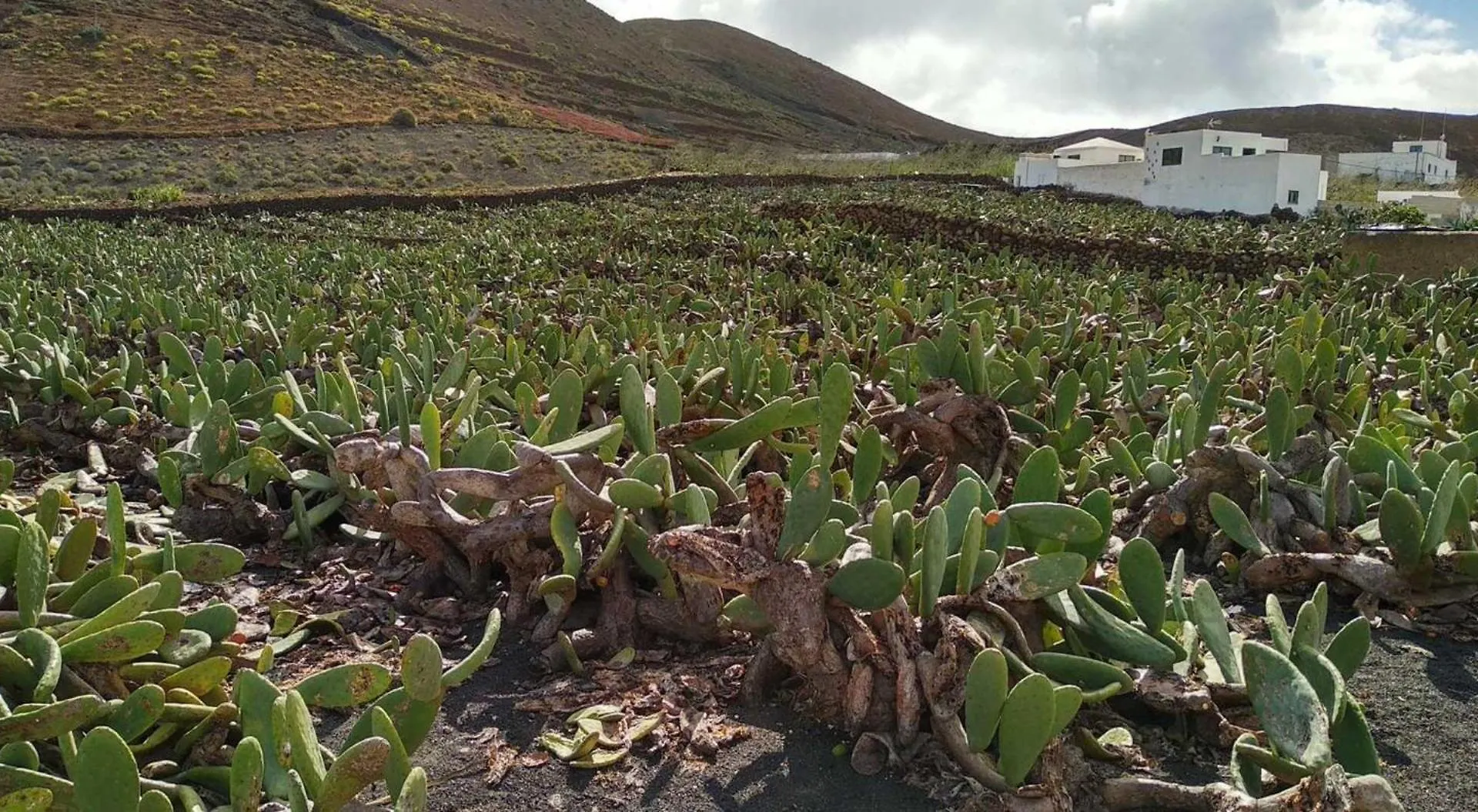 Vakantiehuis Bayside Kalendra Jable Encuentra Paz En La Naturaleza Salvaje Guatiza