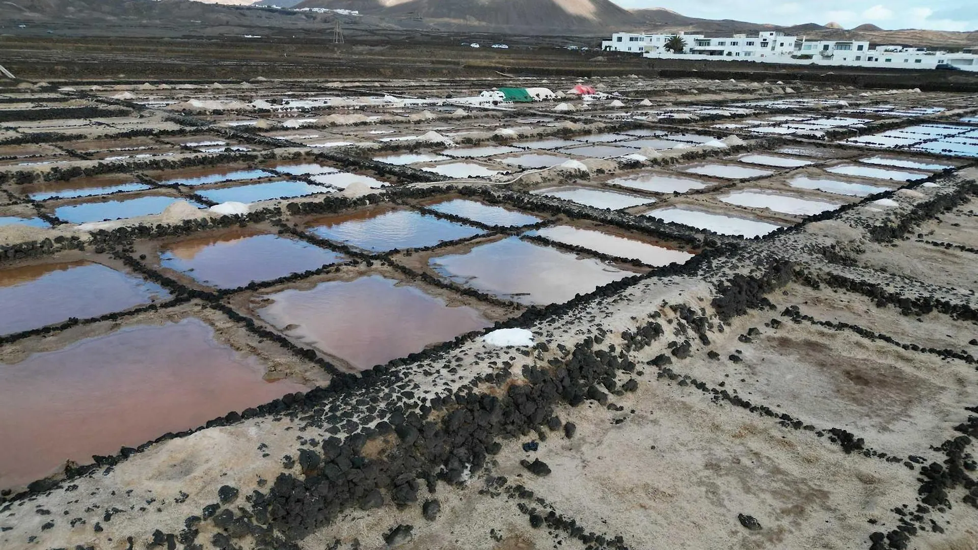 Bayside Kalendra Jable Encuentra Paz En La Naturaleza Salvaje Guatiza Nyaraló